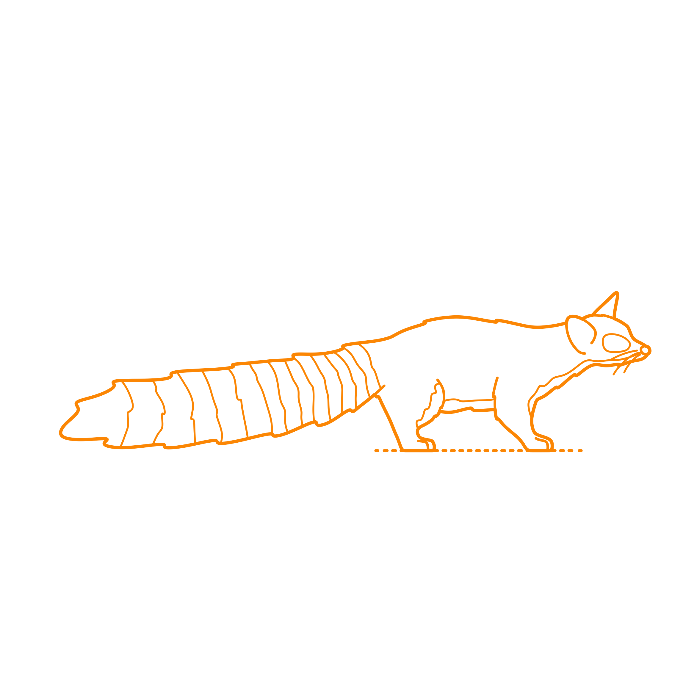 Animals Procyonids Ringtail Outline Svg File Free Vectors